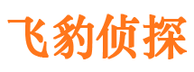 蒸湘市侦探调查公司